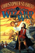 Wizard In The Way Rogue Wizard 8
