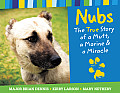 Nubs The True Story Of A Mutt A Marine & A Miracle