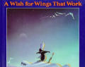 Wish For Wings That Work