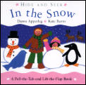 Hide & Seek In The Snow A Pull the Tab & Lift the Flap Book