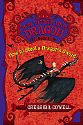 How to Train Your Dragon 09 How to Steal a Dragons Sword