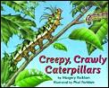 Creepy Crawly Caterpillars