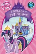 My Little Pony Meet Princess Twilight Sparkle Level 1