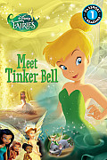 Disney Fairies Meet Tinkerbell