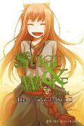Spice and Wolf, Vol. 16 (Light Novel): The Coin of the Sun II