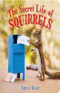 Secret Life of Squirrels