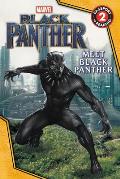 Marvels Black Panther Meet Black Panther