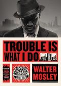 Trouble Is What I Do (Leonid McGill #6)