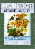 Mushrooms Of North America