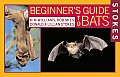 Stokes Beginners Guide To Bats