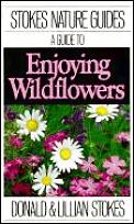 Guide To Enjoying Wildflowers