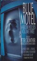 Blue Motel Narrow Houses Volume 3