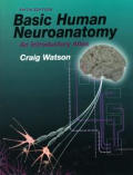 Basic Human Neuroanatomy an Introductory Atlas