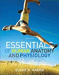 Essentials of Human Anatomy & Physiology with Masteringa&p(r)