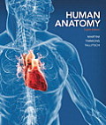 Human Anatomy Plus Masteringa&p With Etext Access Card Package