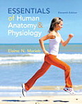 Essentials Of Human Anatomy & Physiology Plus Masteringa&p With Etext Access Card Package