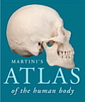 Martinis Atlas Of The Human Body