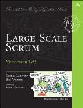 Large Scale Scrum More with LeSS