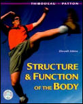 Structure & Function Of The Body