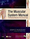 Muscular System Manual The Skeletal Muscles of the Human Body 3rd edition