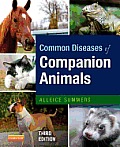 Common Diseases Of Companion Animals
