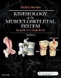 Kinesiology Of The Musculoskeletal System Foundations For Rehabilitation