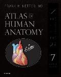 Atlas Of Human Anatomy Professional Edition Including Netterreference.com Access With Full Downloadable Image Bank