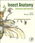 Insect Anatomy: Structure and Function