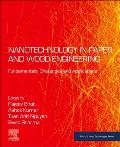 Nanotechnology in Paper and Wood Engineering: Fundamentals, Challenges and Applications