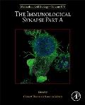 The Immunological Synapse Part a: Volume 173