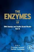 DNA Damage and Double Strand Breaks Part B: Volume 52