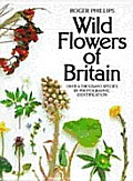 Wild Flowers Of Britain Over A Thousand Species
