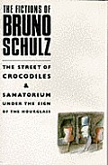 Fictions Of Bruno Schulz