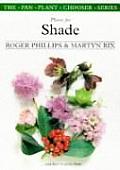 Plants For Shade & How To Grow Them