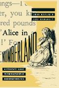 Alice In Numberland