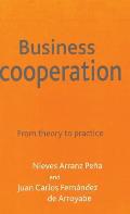 Business Cooperation: From Theory to Practice