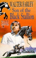 Black Stallion 03 Son Of The Black Stallion