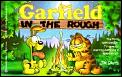 Garfield In The Rough