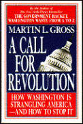 Call For Revolution How Government Is St
