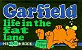 Garfield Life in the Fat Lane 28