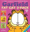 Garfield Fat Cat 3 Pack Volume 13 Garfield Beefs Up Garfield Gets Cookin Garfield Eats Crow