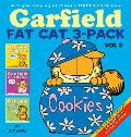 Garfield Fat Cat 3 Pack Volume 2 A Triple Helping of Classic Garfield Humor