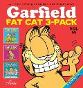 Garfield Fat Cat 3 Pack Volume 14