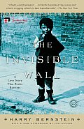 Invisible Wall A Love Story That Broke Barriers