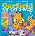 Garfield Fat Cat 3 Pack Volume 6