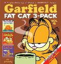 Garfield Fat Cat 3 Pack 15