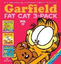 Garfield Fat Cat 3 Pack 17