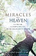 Miracles from Heaven A Little Girl Her Journey to Heaven & Her Amazing Story of Healing