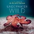 Underwater Wild My Octopus Teachers Extraordinary World