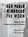 S?o Paulo Minhoc?o ? The Worm: A Hyper-Sectional Urbanism Design Transformation 2014